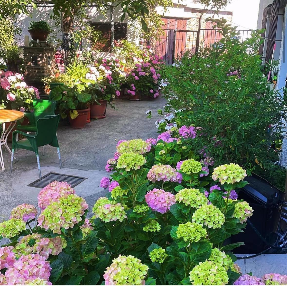 Hostal Rural Las Terrazas De La Alpujarra บูบิยอน ภายนอก รูปภาพ